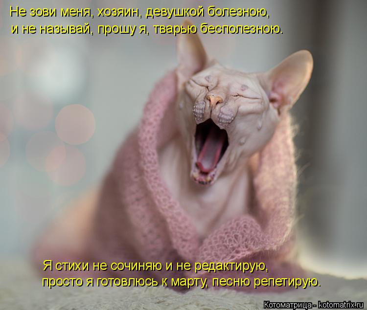 Котоматрица: просто я готовлюсь к марту, песню репетирую. Не зови меня, хозяин, девушкой болезною,  и не называй, прошу я, тварью бесполезною. Я стихи не со