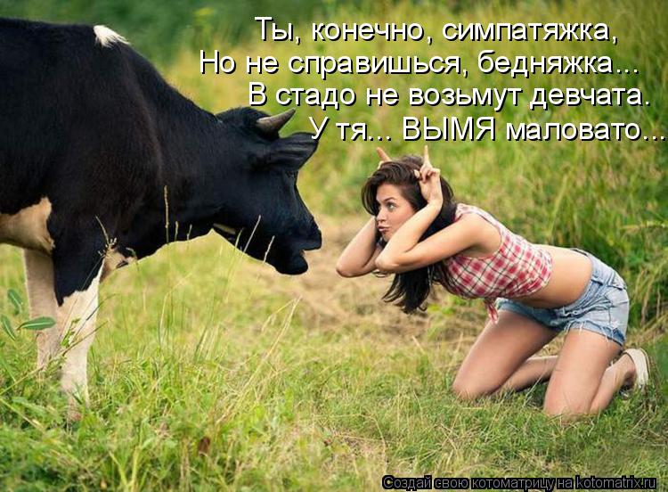 Котоматрица: Ты, конечно, симпатяжка, Но не справишься, бедняжка... В стадо не возьмут девчата. У тя... ВЫМЯ маловато...