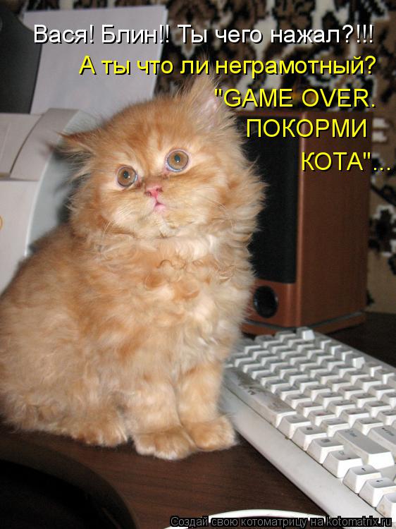 Котоматрица: Вася! Блин!! Ты чего нажал?!!! А ты что ли неграмотный? "GAME OVER.  ПОКОРМИ  КОТА"...