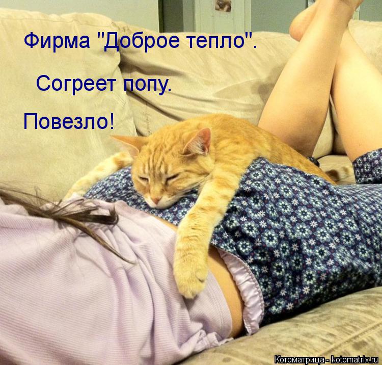 Котоматрица: Фирма "Доброе тепло". Согреет попу. Повезло!