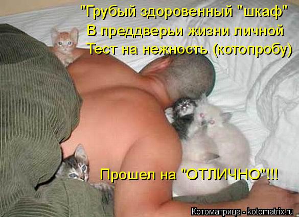 "Грубый здоровенный "шкаф" В преддверьи жизни личной Тест на нежность (котопробу) Прошел на "ОТЛИЧНО"... Котоматрица: "Грубый здоровенный "шкаф" В преддверьи жизни личной Тест на нежность (котопробу) Прошел на "ОТЛИЧНО"!!!