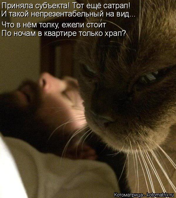 Котоматрица: Приняла субъекта! Тот ещё сатрап! И такой непрезентабельный на вид... Что в нём толку, ежели стоит По ночам в квартире только храп? /