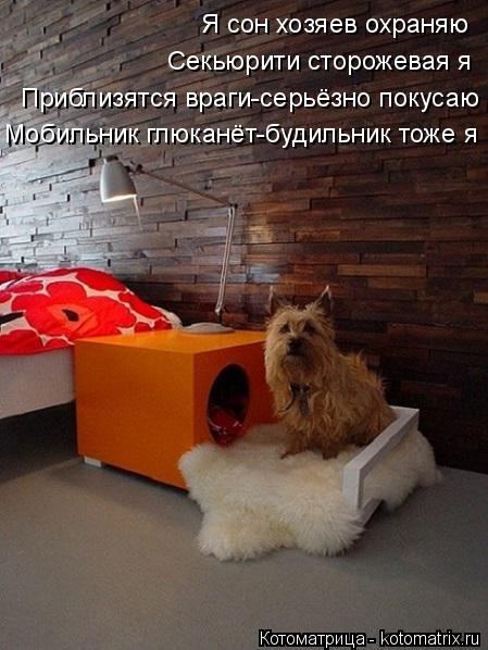 Котоматрица: Приблизятся враги-серьёзно покусаю Мобильник глюканёт-будильник тоже я Секьюрити сторожевая я Я сон хозяев охраняю