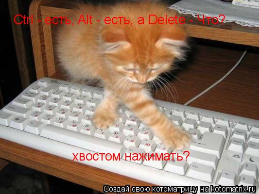 Котоматрица: Ctrl - есть, Alt - есть, а Delete - Что? хвостом нажимать? хвостом нажимать?