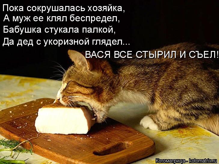 Котоматрица: Пока сокрушалась хозяйка, А муж ее клял беспредел, Бабушка стукала палкой, Да дед с укоризной глядел... ВАСЯ ВСЕ СТЫРИЛ И СЪЕЛ!