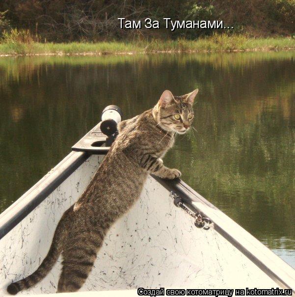 Котоматрица: Там За Туманами...