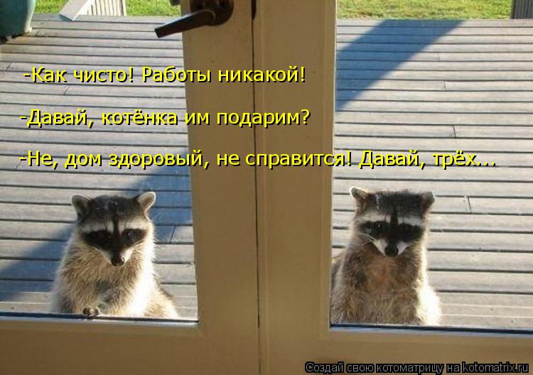 -Как чисто! Работы никакой! -Давай, котёнка им подарим? -Не, дом здоровый, не справится! Давай, трёх... Котоматрица: -Как чисто! Работы никакой! -Давай, котёнка им подарим? -Не, дом здоровый, не справится! Давай, трёх...