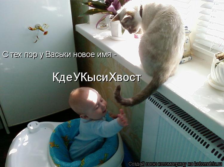 Котоматрица: С тех пор у Васьки новое имя - КдеУКысиХвост