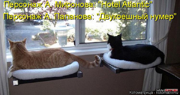 Котоматрица: Персонаж А. Миронова: "Hotel Atlantic" Персонаж А. Папанова: "Двукоешный нумер"