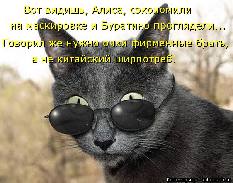 Котоматрица: Вот видишь, Алиса, сэкономили  на маскировке и Буратино проглядели... Говорил же нужно очки фирменные брать, а не китайский ширпотреб!