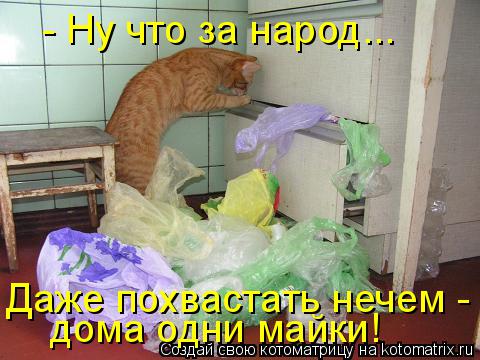 Котоматрица: - Ну что за народ... Даже похвастать нечем - дома одни майки!