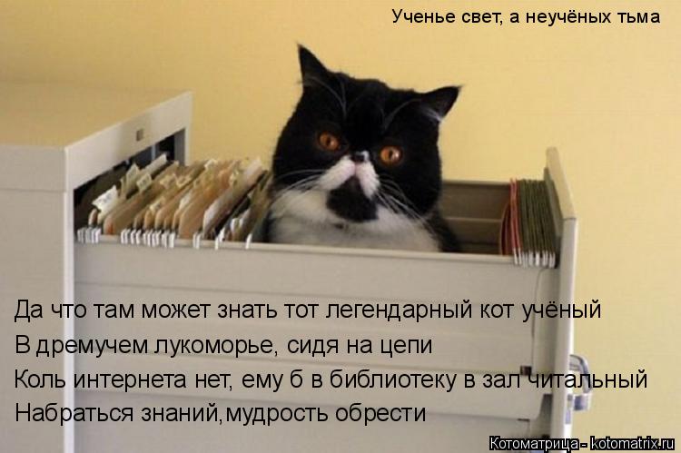 Котоматрица: Ученье свет, а неучёных тьма Коль интернета нет, ему б в библиотеку в зал читальный Набраться знаний,мудрость обрести В дремучем лукоморье, 