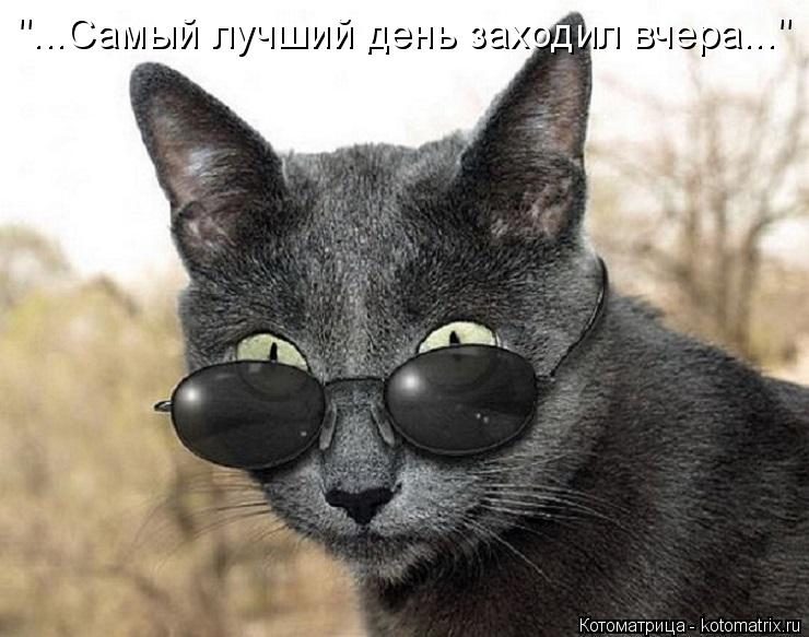 Котоматрица: "...Самый лучший день заходил вчера..."