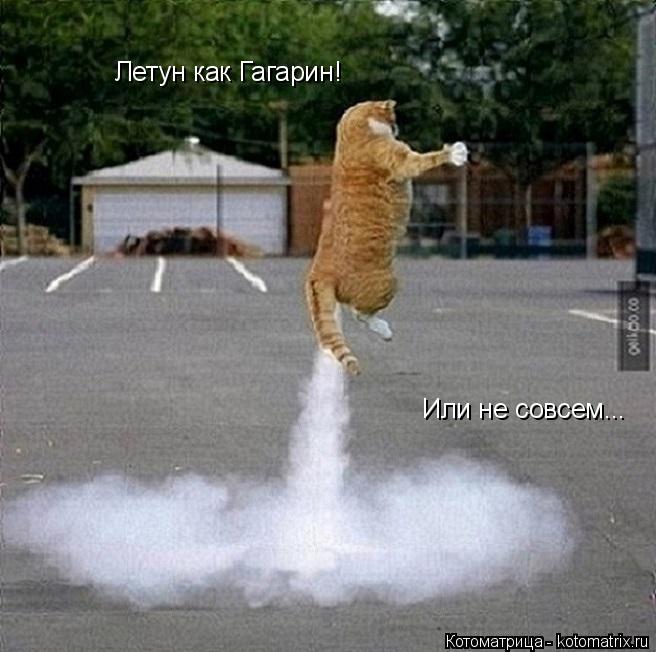 Котоматрица: Летун как Гагарин! Или не совсем...