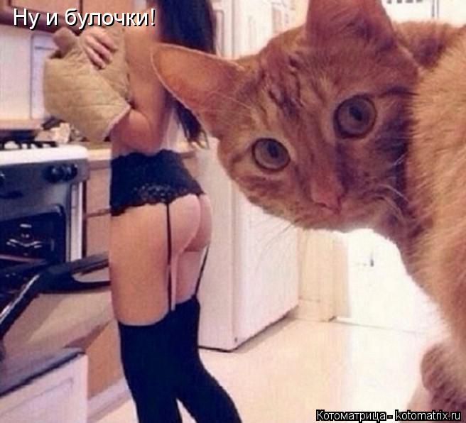 Котоматрица: Ну и булочки!