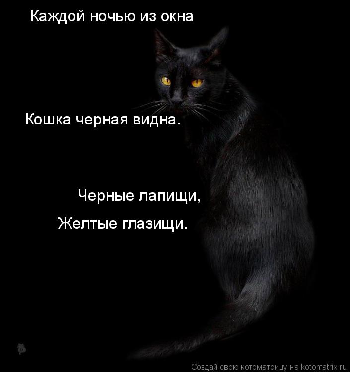 Котоматрица: Каждой ночью из окна Кошка черная видна. Черные лапищи, Желтые глазищи.