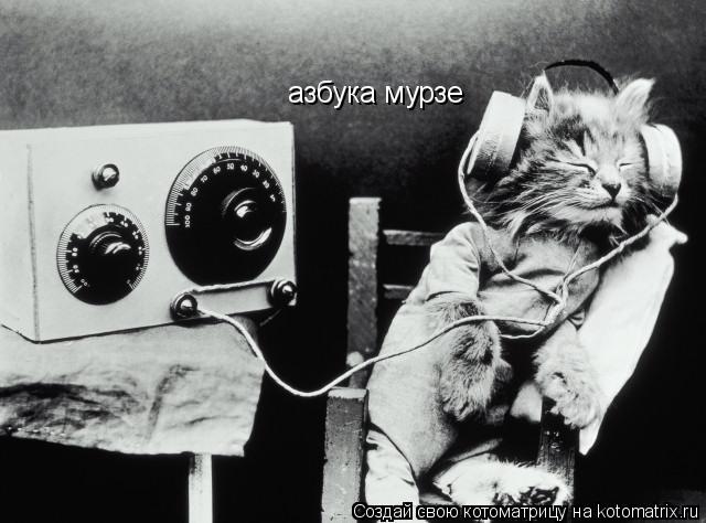 Котоматрица: азбука мурзе