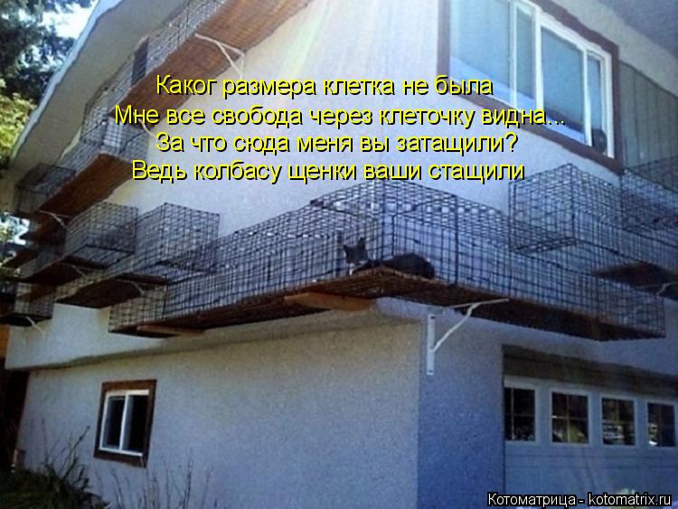 Котоматрица: Каког размера клетка не была Мне все свобода через клеточку видна... За что сюда меня вы затащили? Ведь колбасу щенки ваши стащили