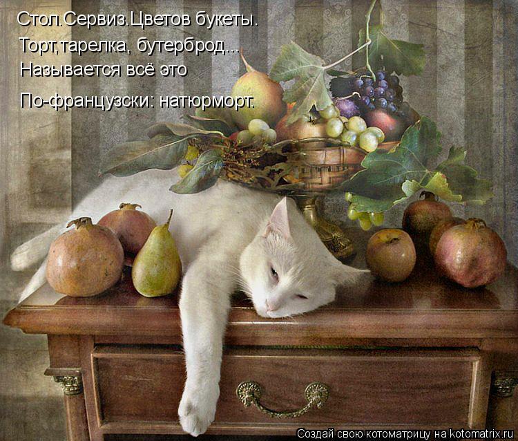 Котоматрица: Стол.Сервиз.Цветов букеты. Торт,тарелка, бутерброд... Называется всё это По-французски: натюрморт.