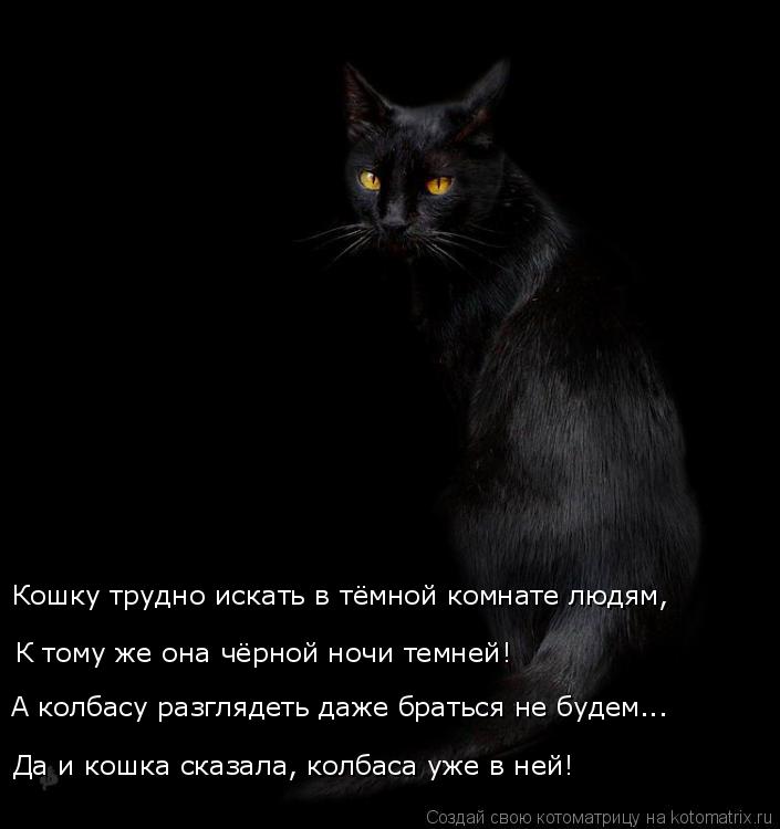 Котоматрица: Да и кошка сказала, колбаса уже в ней! К тому же она чёрной ночи темней! Кошку трудно искать в тёмной комнате людям, А колбасу разглядеть даже