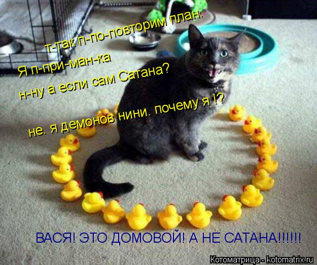 Котоматрица: т-так п-по-повторим план. Я п-при-ман-ка н-ну а если сам Сатана? ВАСЯ! ЭТО ДОМОВОЙ! А НЕ САТАНА!!!!!! не. я демонов нини. почему я !?