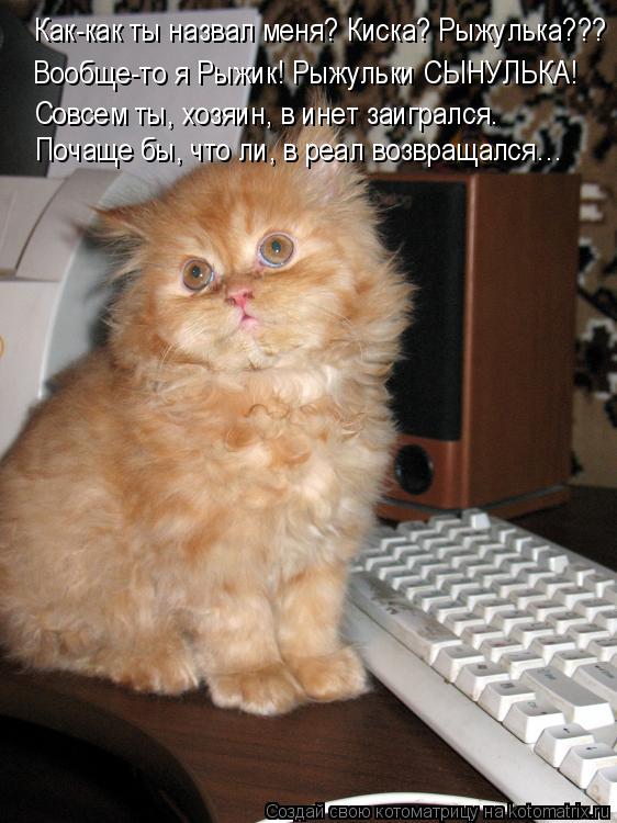 Котоматрица: Как-как ты назвал меня? Киска? Рыжулька??? Вообще-то я Рыжик! Рыжульки СЫНУЛЬКА! Совсем ты, хозяин, в инет заигрался. Почаще бы, что ли, в реал во