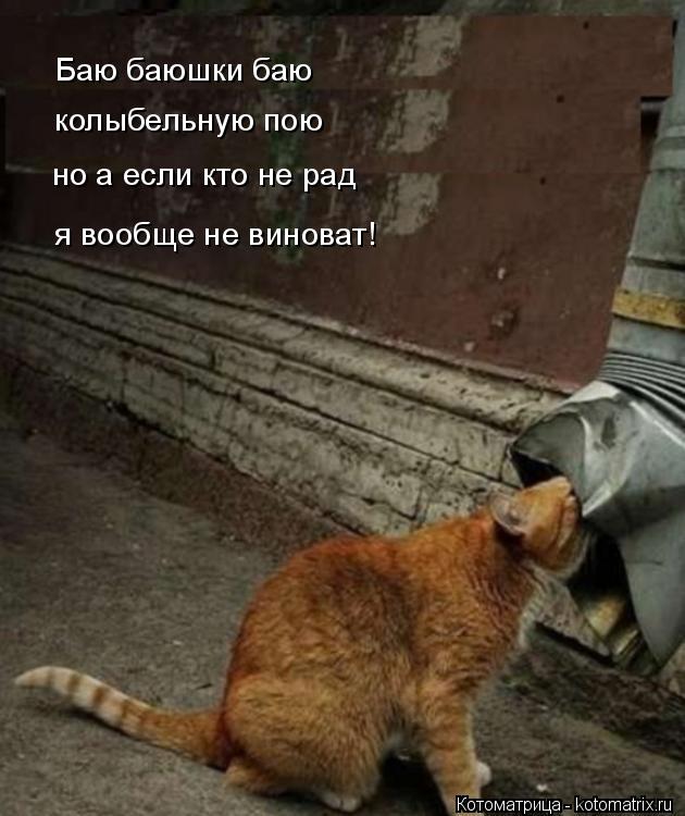 Котоматрица: Баю баюшки баю колыбельную пою но а если кто не рад я вообще не виноват!