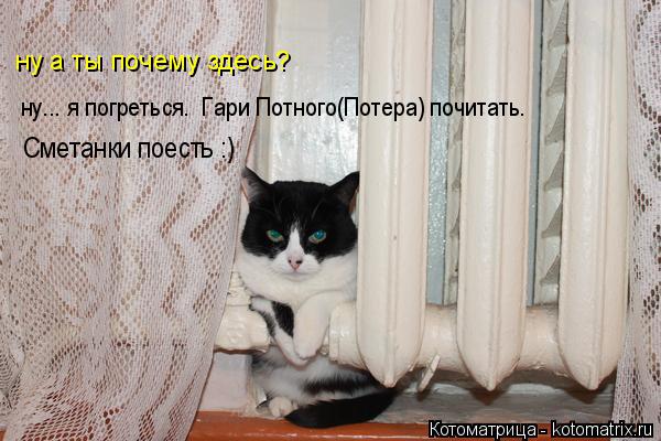 Котоматрица: ну а ты почему здесь? ну... я погреться.  Гари Потного(Потера) почитать. Сметанки поесть :)