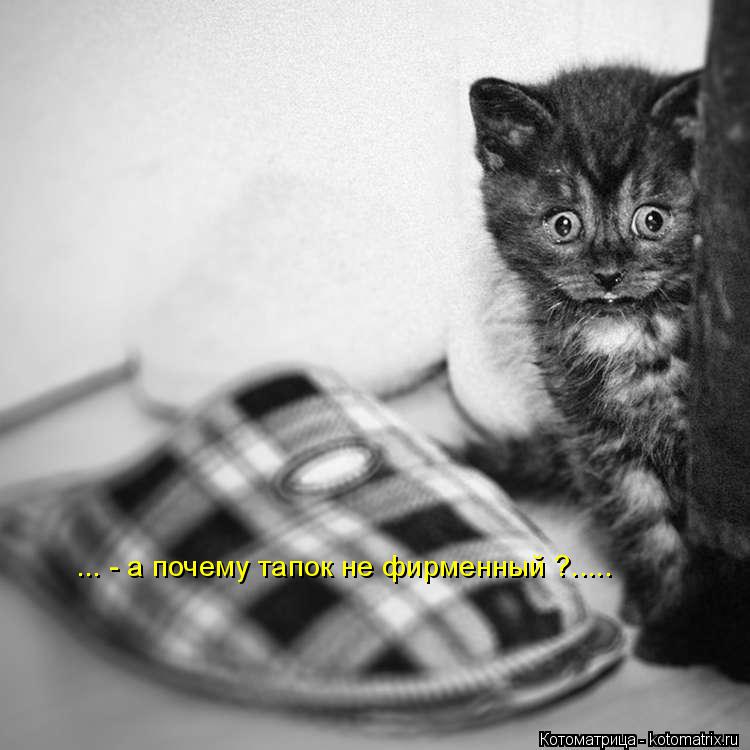 Котоматрица: ... - а почему тапок не фирменный ?.....