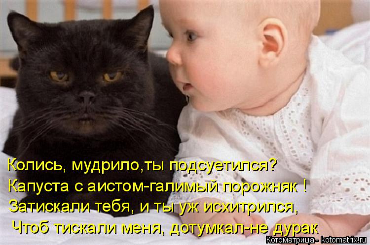 Котоматрица: Колись, мудрило,ты подсуетился? Капуста с аистом-галимый порожняк ! Затискали тебя, и ты уж исхитрился, Чтоб тискали меня, дотумкал-не дурак