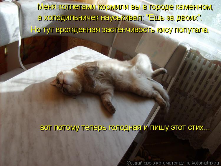 Котоматрица: Меня котлетами кормили вы в городе каменном,  а холодильничек науськивал: "Ешь за двоих". вот потому теперь голодная и пишу этот стих... Но тут