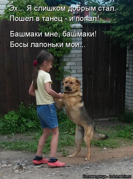 Котоматрица: Эх... Я слишком добрым стал. Пошел в танец - и попал! Башмаки мне, башмаки! Босы лапоньки мои...