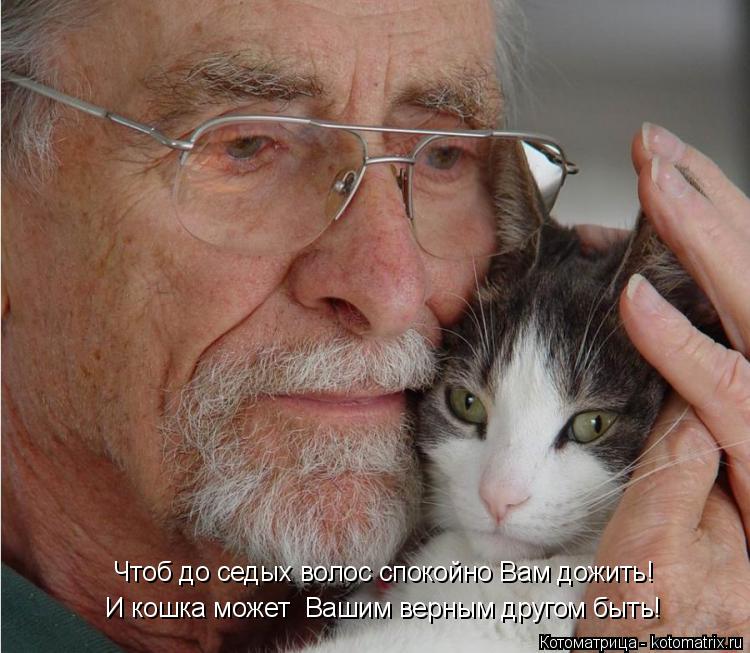 Котоматрица: Чтоб до седых волос спокойно Вам дожить! И кошка может  Вашим верным другом быть!