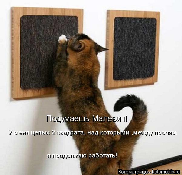 Котоматрица: Подумаешь Малевич! У меня целых 2 квадрата, над которыми ,между прочим  я продолжаю работать!