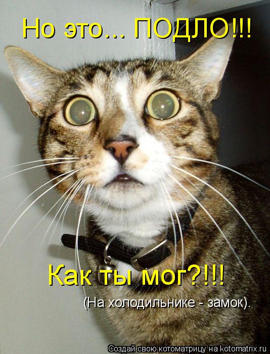 Котоматрица: (На холодильнике - замок). Но это... ПОДЛО!!! Как ты мог?!!!