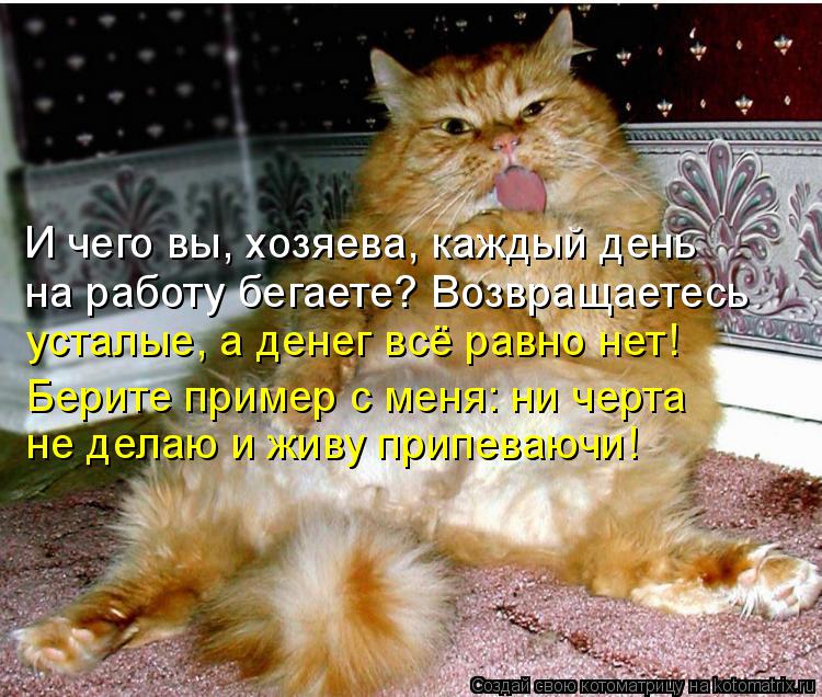 И чего вы, хозяева, каждый день на работу бегаете? Возвращаетесь усталые, а денег всё равно нет! Бери... Котоматрица: И чего вы, хозяева, каждый день на работу бегаете? Возвращаетесь усталые, а денег всё равно нет! Берите пример с меня: ни черта не делаю и живу