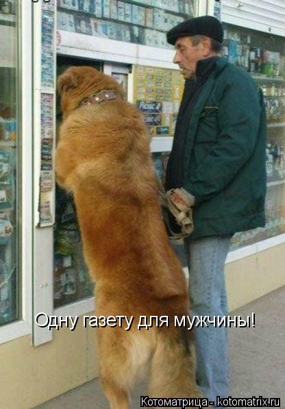 Котоматрица: Одну газету для мужчины!