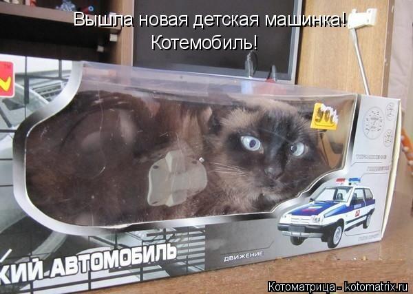 Котоматрица: Вышла новая детская машинка! Котемобиль!
