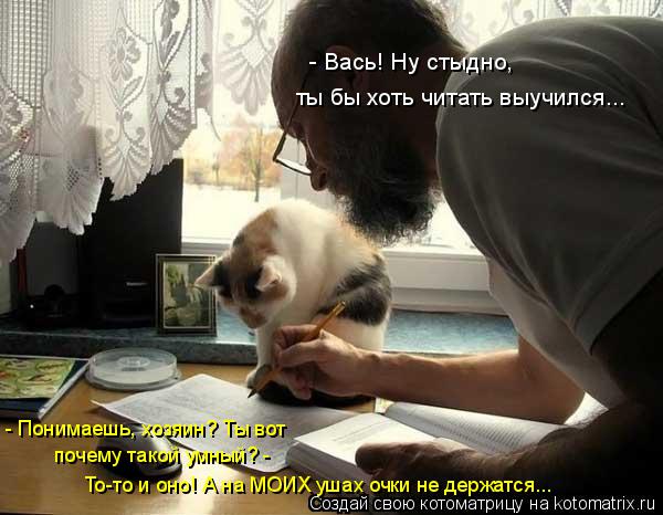 Котоматрица: - Понимаешь, хозяин? Ты вот - Вась! Ну стыдно,  ты бы хоть читать выучился... почему такой умный? - То-то и оно! А на МОИХ ушах очки не держатся...