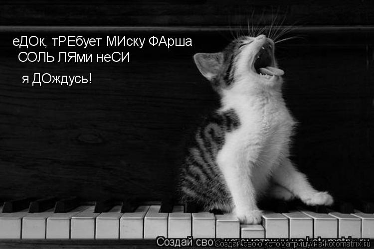Котоматрица: еДОк, тРЕбует МИску ФАрша СОЛЬ ЛЯми неСИ  я ДОждусь!