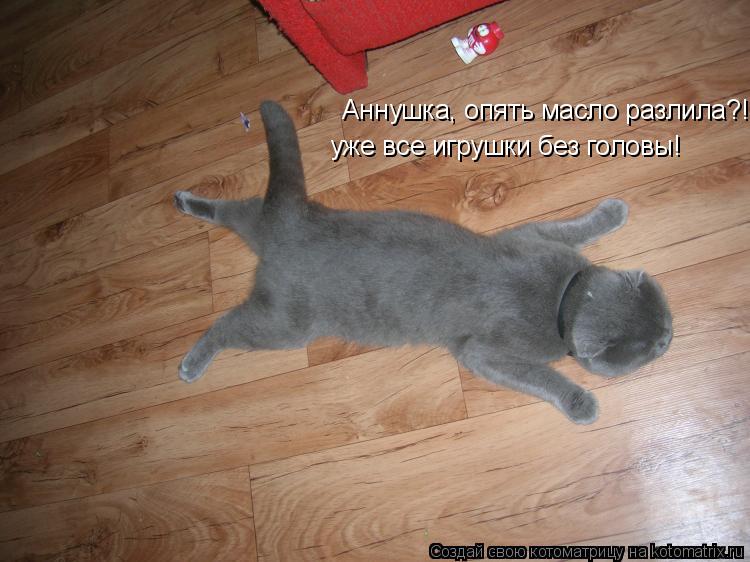 Котоматрица: Аннушка, опять масло разлила?! уже все игрушки без головы!