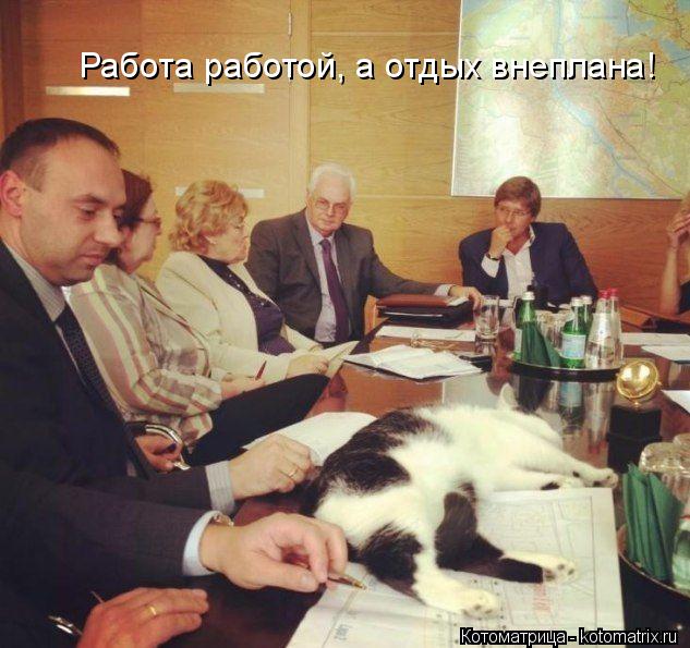 Котоматрица: Работа работой, а отдых внеплана!