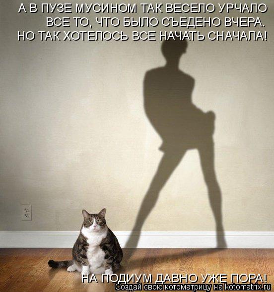 Котоматрица: А В ПУЗЕ МУСИНОМ ТАК ВЕСЕЛО УРЧАЛО ВСЕ ТО, ЧТО БЫЛО СЪЕДЕНО ВЧЕРА. НО ТАК ХОТЕЛОСЬ ВСЕ НАЧАТЬ СНАЧАЛА! НА ПОДИУМ ДАВНО УЖЕ ПОРА!