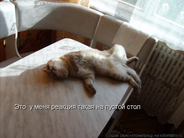 Котоматрица: Это  у меня реакция такая на пустой стол