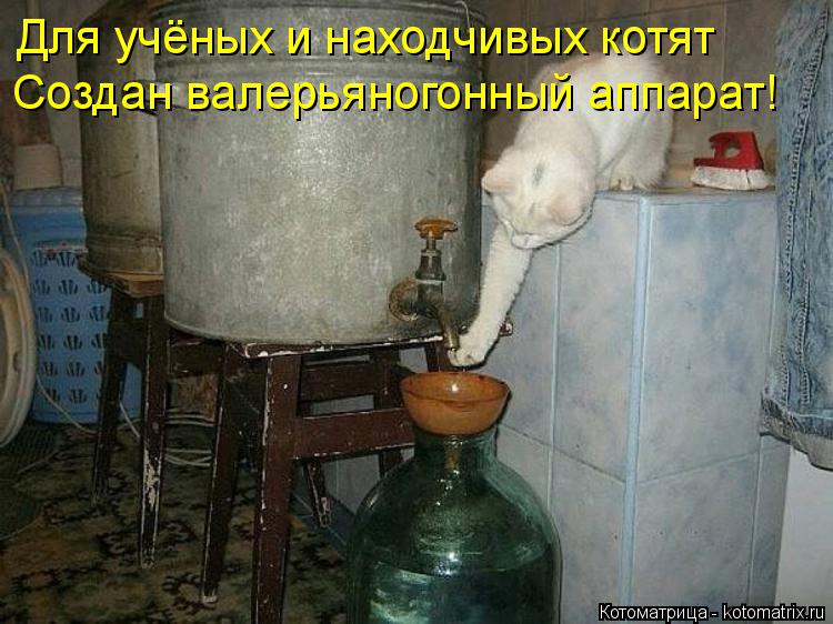 Котоматрица: Для учёных и находчивых котят Создан валерьяногонный аппарат!