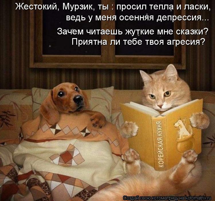 Котоматрица: Жестокий, Мурзик, ты : просил тепла и ласки, ведь у меня осенняя депрессия... Зачем читаешь жуткие мне сказки? Приятна ли тебе твоя агресия?