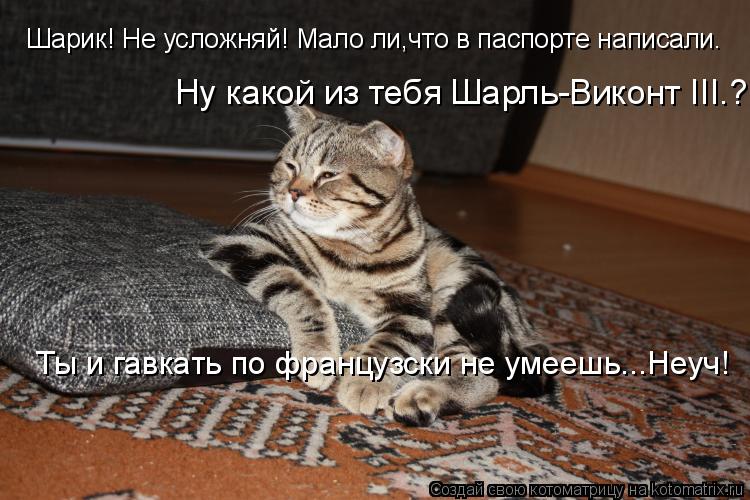 Котоматрица: Шарик! Не усложняй! Мало ли,что в паспорте написали. Ну какой из тебя Шарль-Виконт III.? Ты и гавкать по французски не умеешь...Неуч!