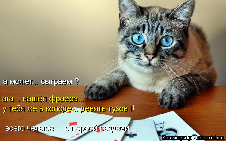 Котоматрица: у тебя же в колоде... девять тузов !! ага... нашёл фраера... всего четыре.... с первой раздачи... а может... сыграем ?