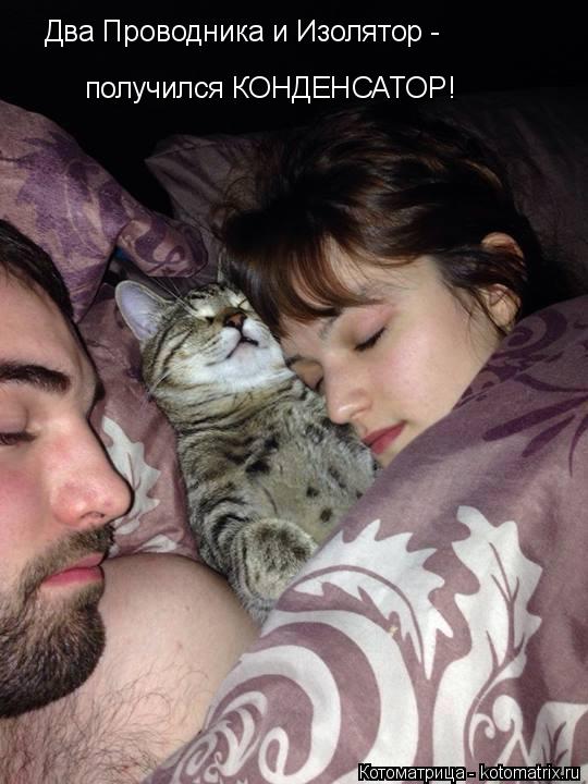 Котоматрица: Два Проводника и Изолятор - получился КОНДЕНСАТОР!