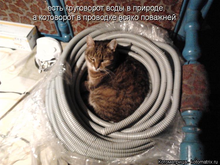 Котоматрица: есть круговорот воды в природе,  а котоворот в проводке всяко поважней